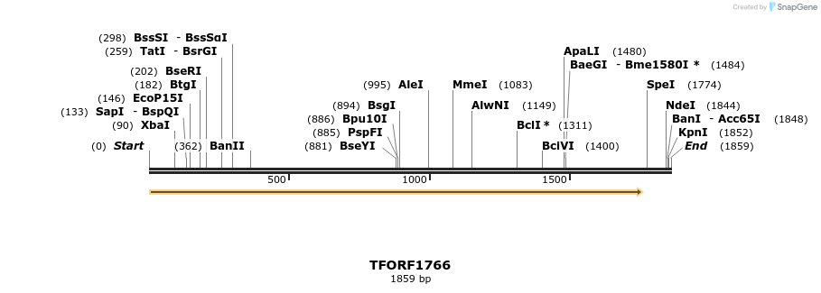 284058_map