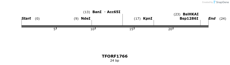 284059_map