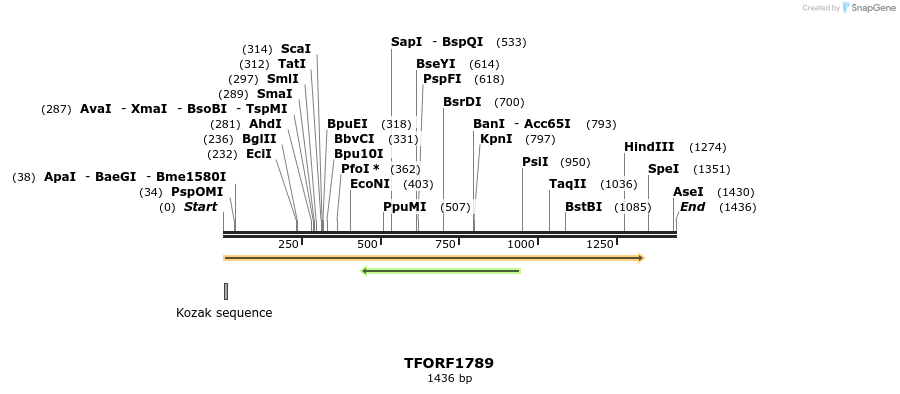 284061_map