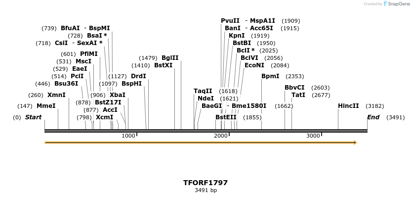 284064_map