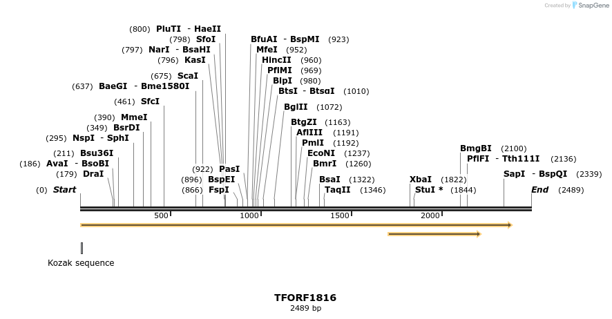 284067_map