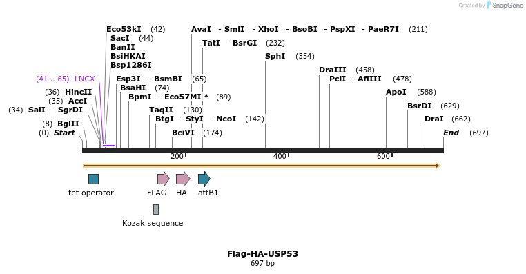28407_map