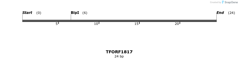 284071_map