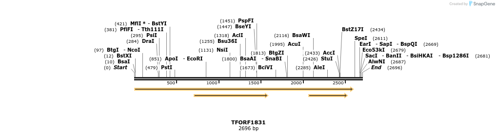 284073_map