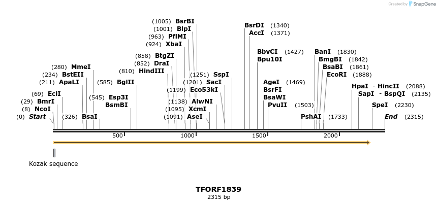 284076_map