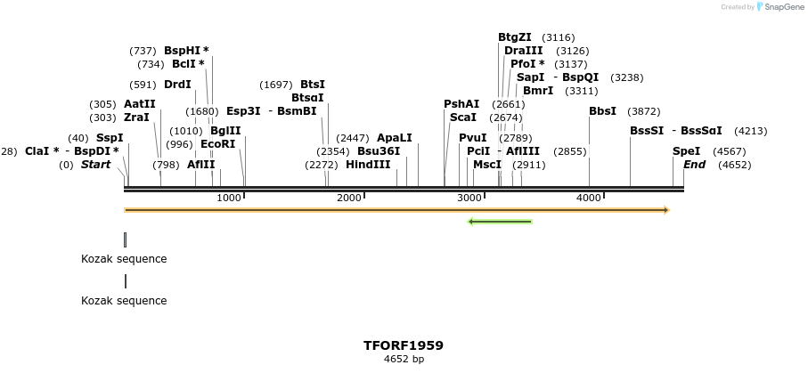 284082_map