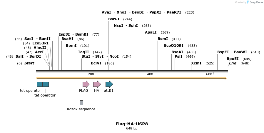 28409_map