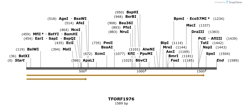 284091_map