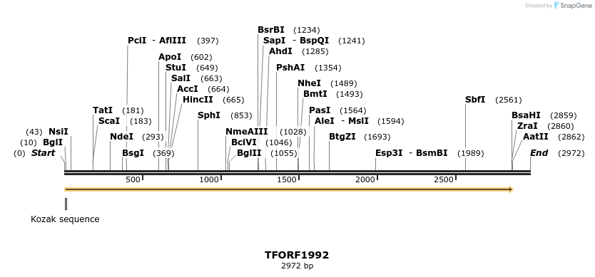 284097_map