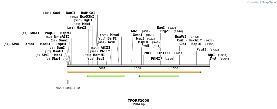 284100_map