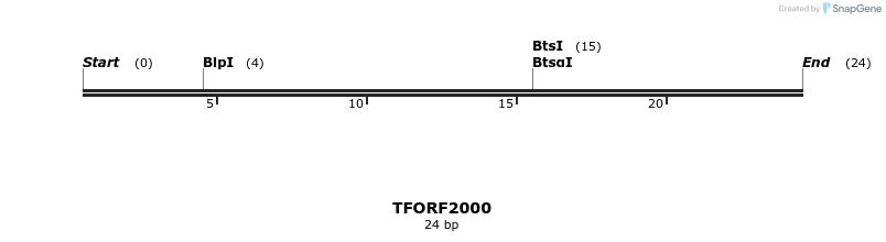 284101_map