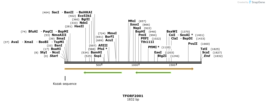 284103_map