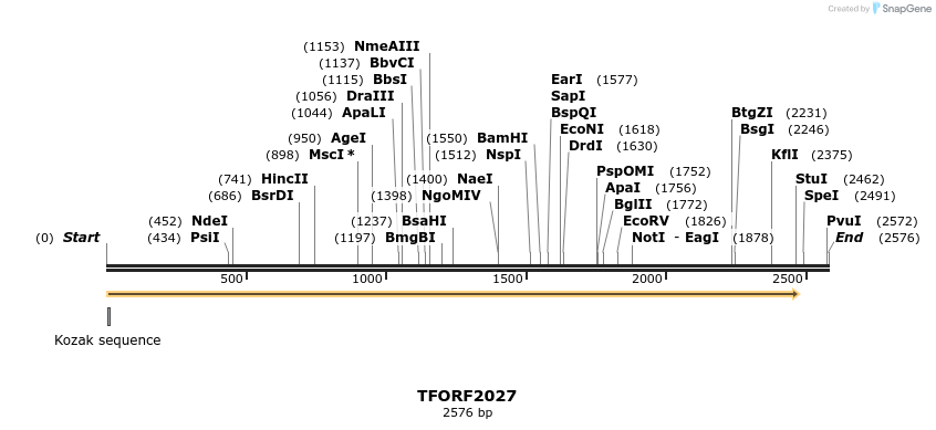 284106_map