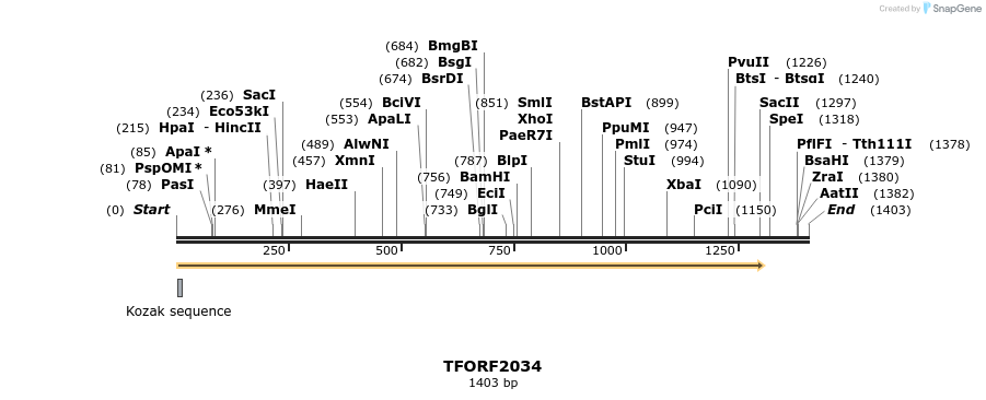 284109_map