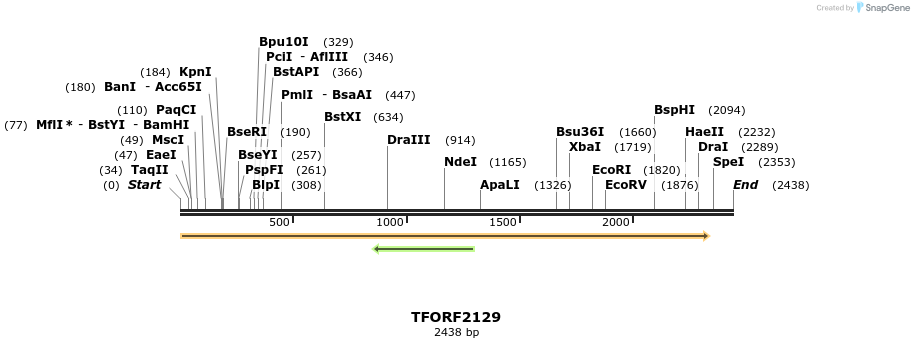 284118_map