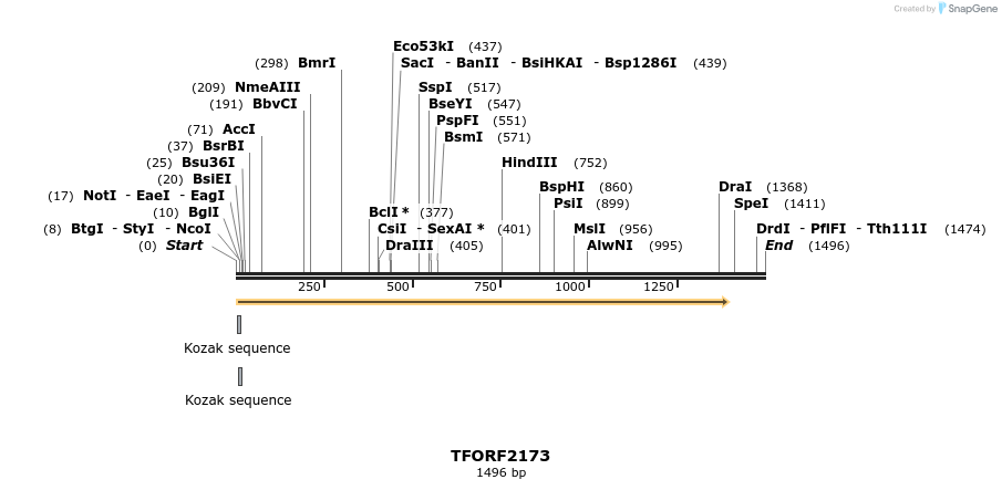 284121_map
