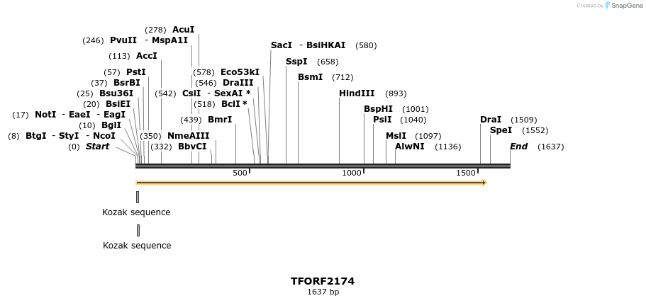 284124_map