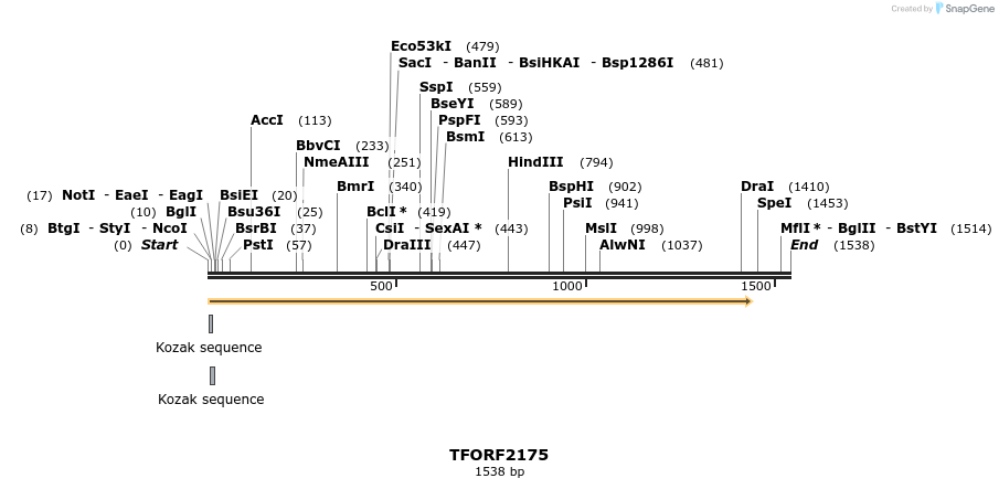 284127_map