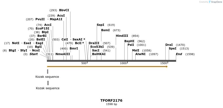 284130_map