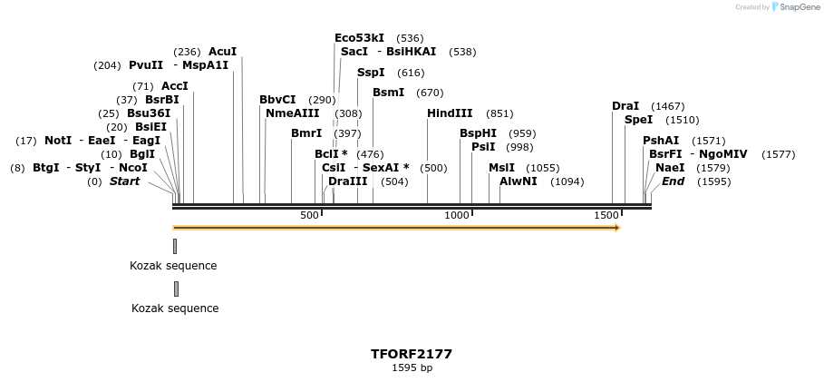 284133_map