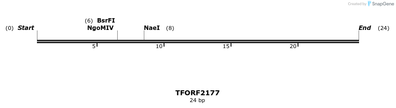 284134_map