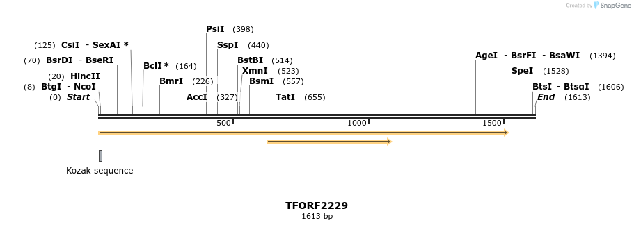 284142_map