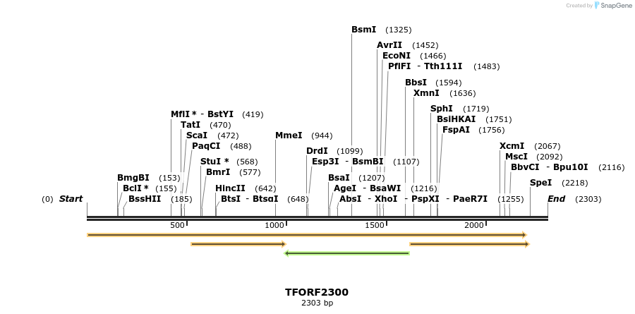 284148_map