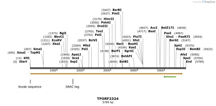 284154_map