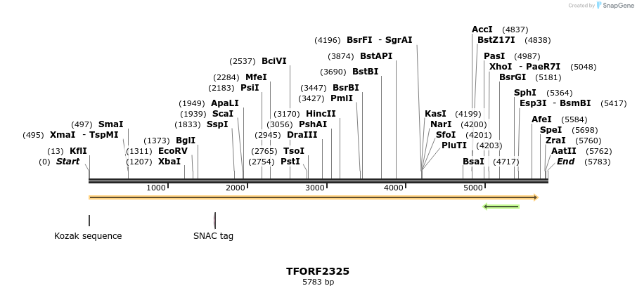 284157_map