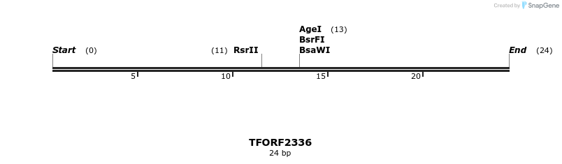 284164_map