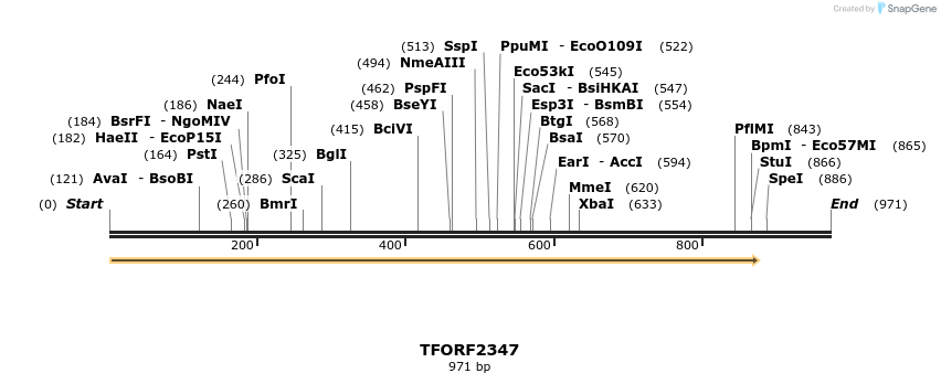 284166_map