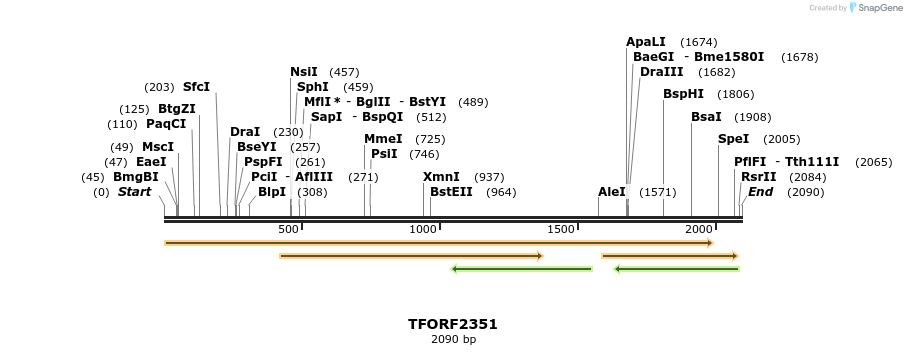 284169_map