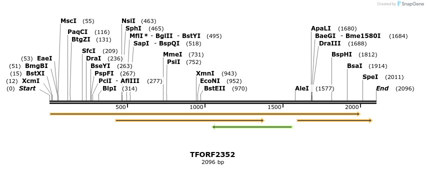 284172_map
