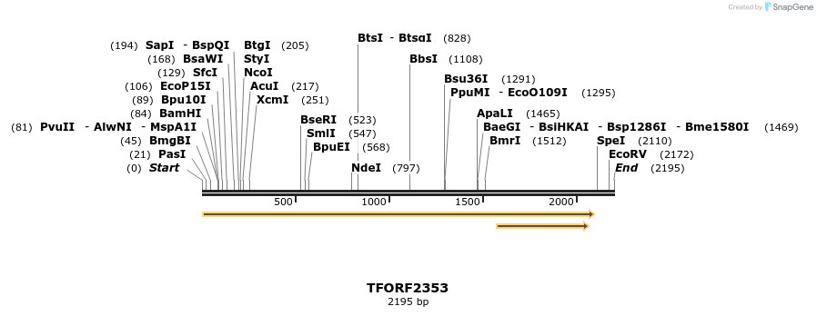 284175_map