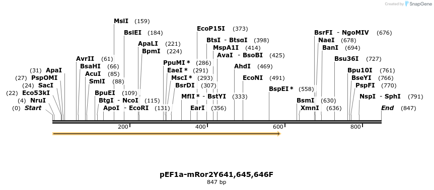 28418_map