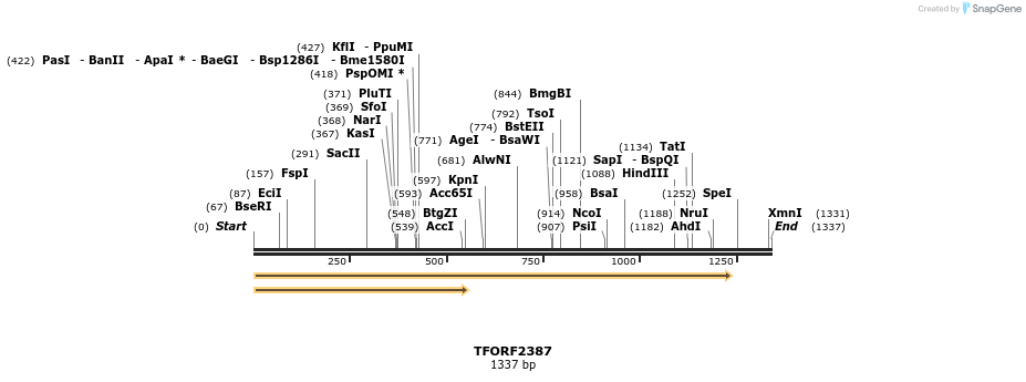 284181_map