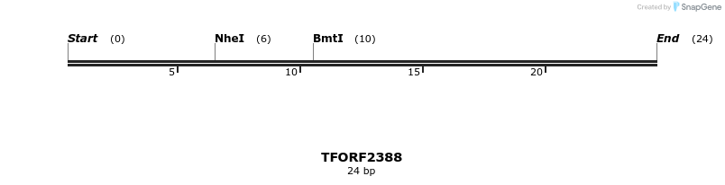 284185_map