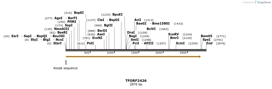 284190_map
