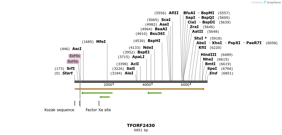 284199_map