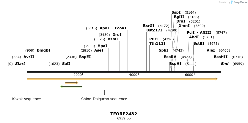 284202_map