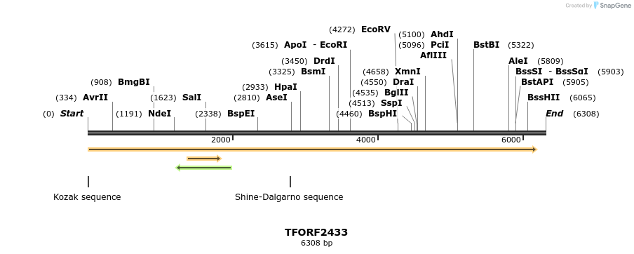 284205_map