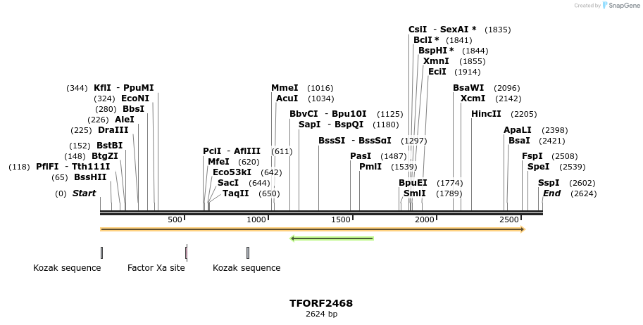 284208_map