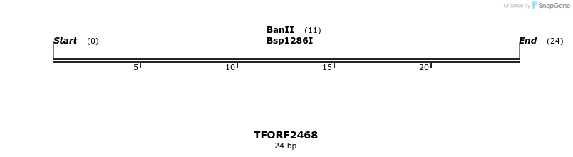 284209_map