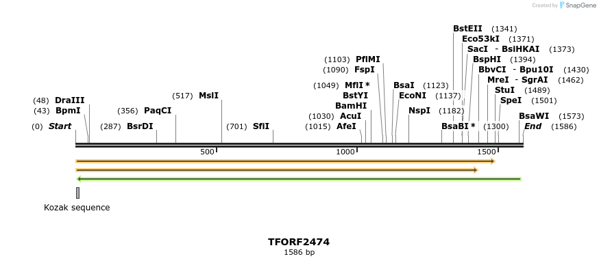 284211_map
