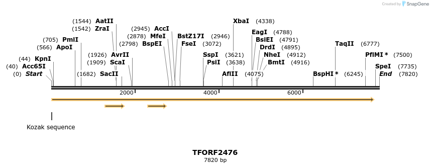 284214_map