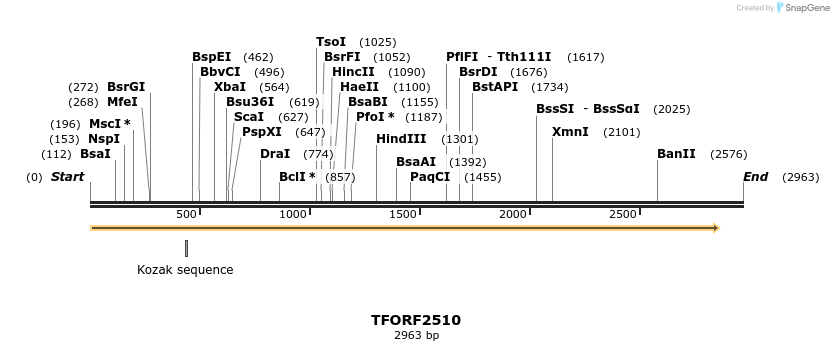 284220_map