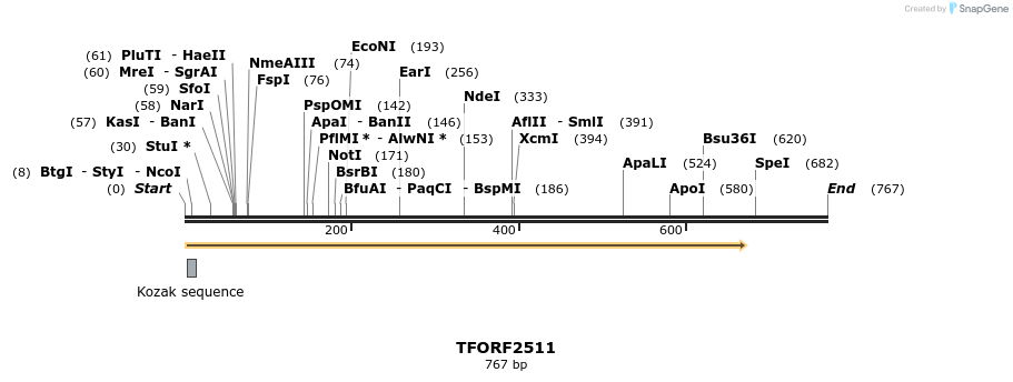 284223_map