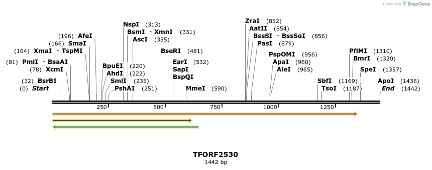 284229_map
