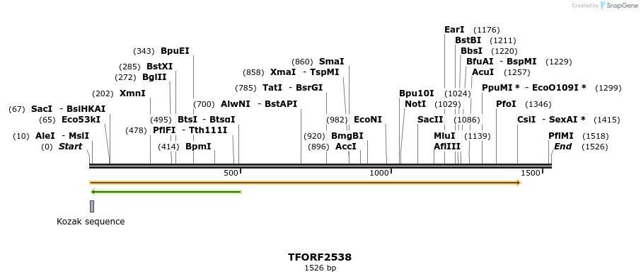 284232_map