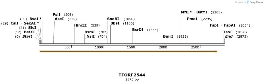 284235_map